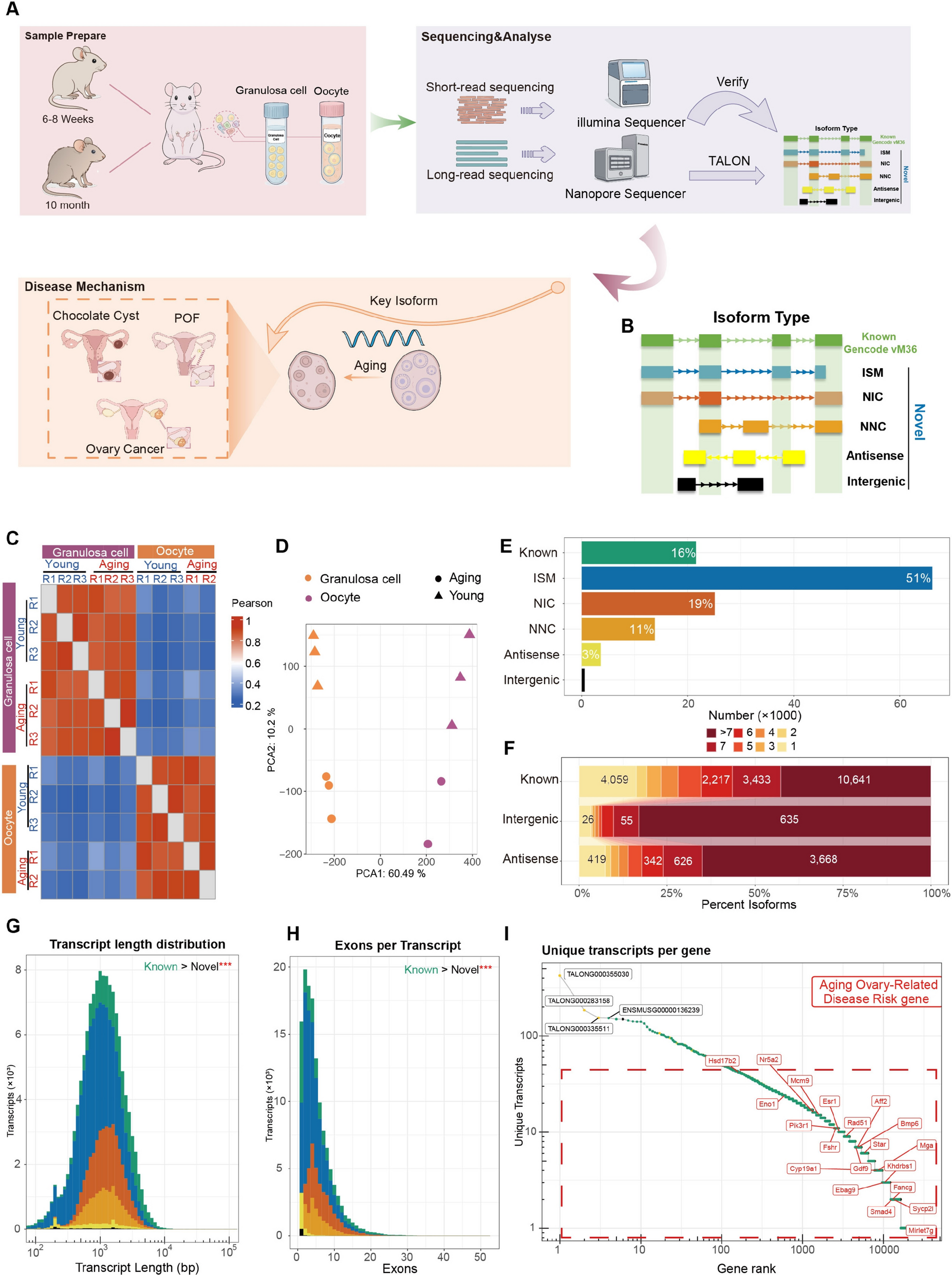 Complete Figure 1: mouse sample and sequencing workflow, transcript classes, sample correlations, PCA, transcript lengths, exon counts and isoform counts.